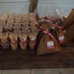 fiesta Tematica granjita